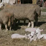 Kutscherstube Altenbeken