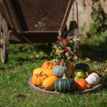 דירה Kutscherstube Altenbeken