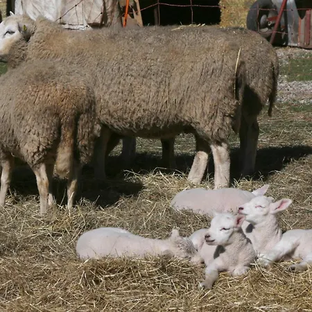 Kutscherstube Altenbeken