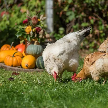 Kutscherstube Apartment Altenbeken
