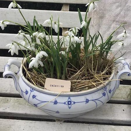 דירה Kutscherstube