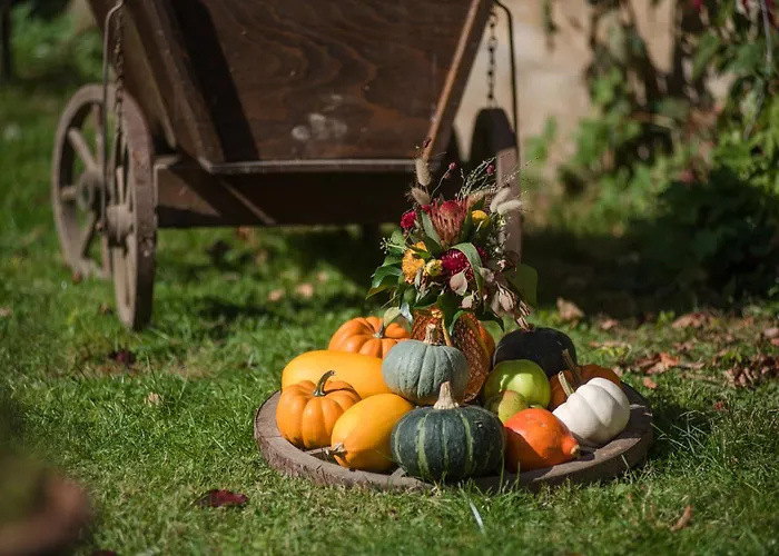 公寓 Kutscherstube Altenbeken