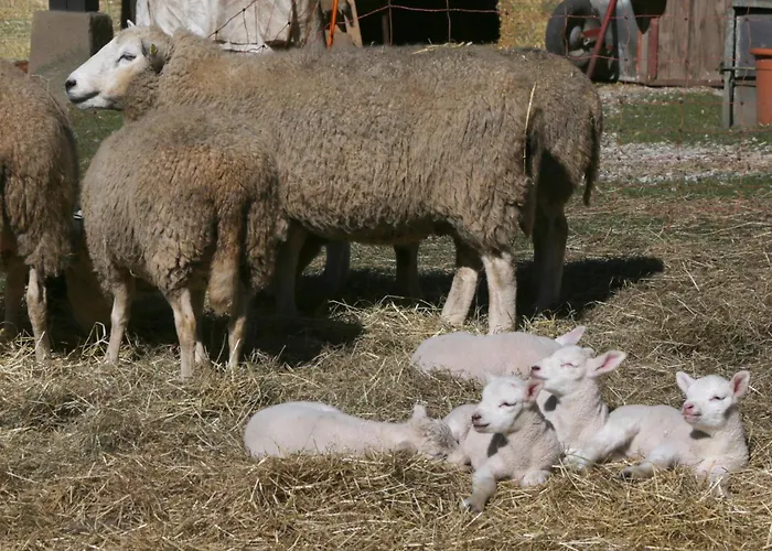 Kutscherstube Altenbeken