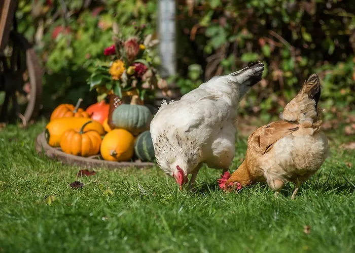 Kutscherstube 公寓 Altenbeken