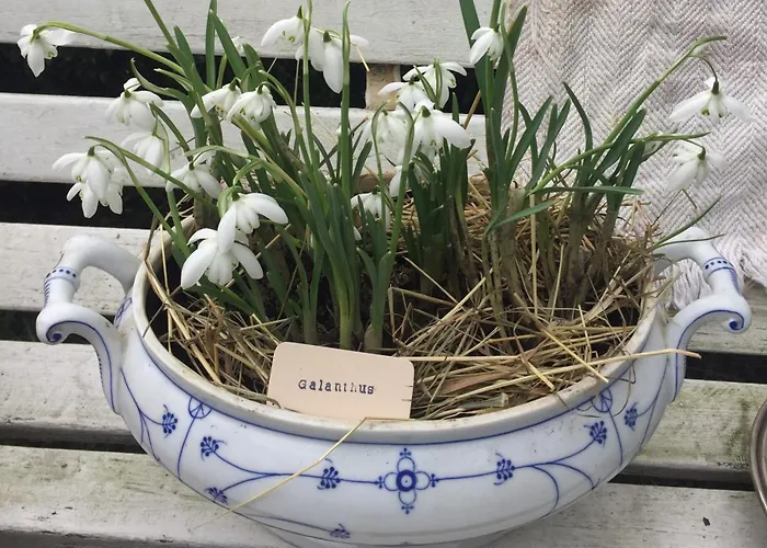 公寓 Kutscherstube